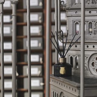 Diffuser SPIRITUS SANCTI